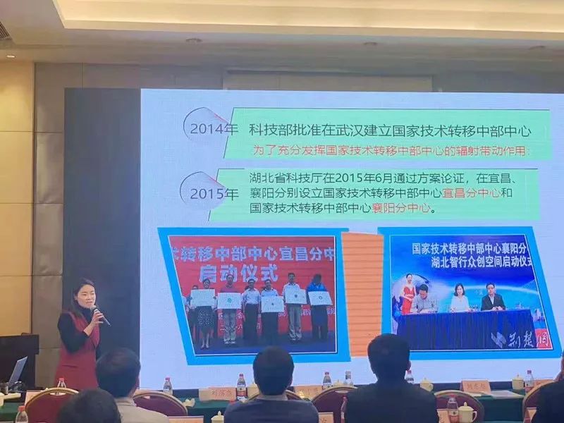 向艷 探索科技中介服務(wù)新模式