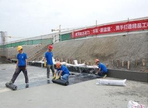 蘇州（吳江）弘祥防水堵漏哪家好？屋頂防水堵漏全解析